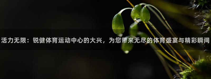 制胜体育在线下载：活力无限：锐健体育运动中心的大兴，为您带来无尽的体育盛宴与精彩瞬间