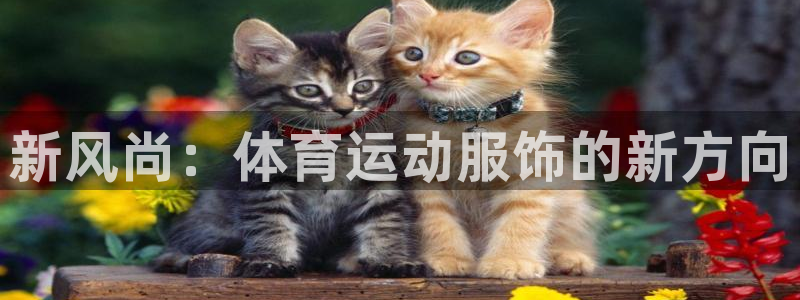 制胜体育怎么安装app：新风尚：体育运动服饰的新方向