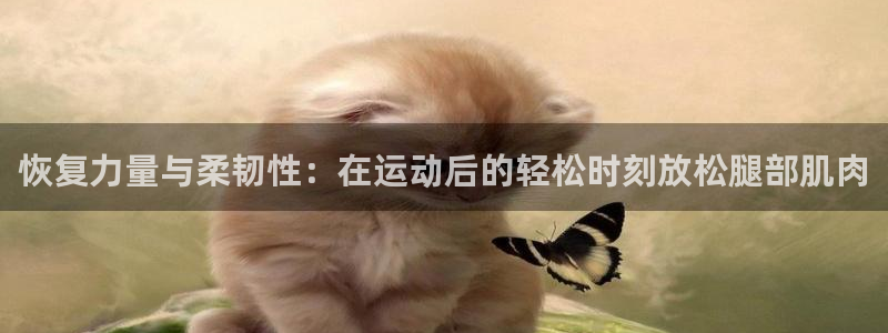 制胜体育APP下载安装：恢复力量与柔韧性：在运动后的轻松时刻放松腿部肌肉