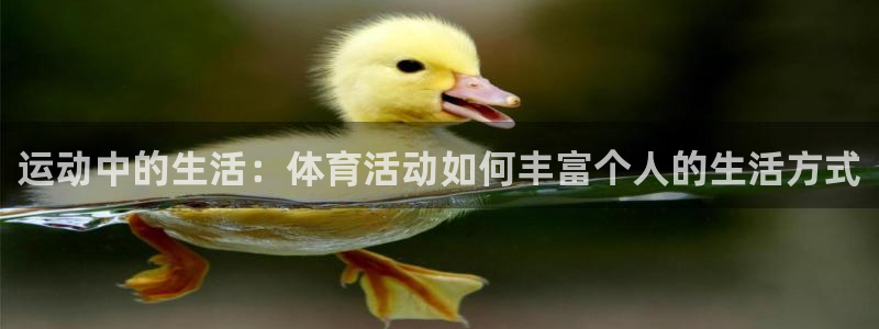 制胜体育手机版下载安装：运动中的生活：体育活动如何丰富个人的生活方式