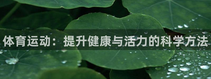 关键词：体育运动：提升健康与活力的科学方法