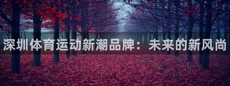 制胜体育手机版下载：深圳体育运动新潮品牌：未来的新风尚
