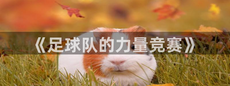 制胜体育最新版本：《足球队的力量竞赛》