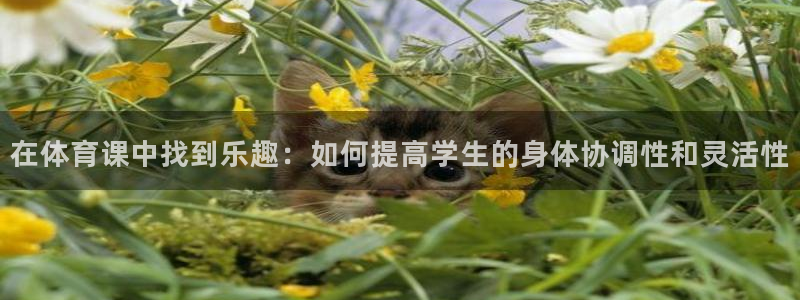 制胜体育下载官：在体育课中找到乐趣：如何提高学生的身体协调性和灵活性